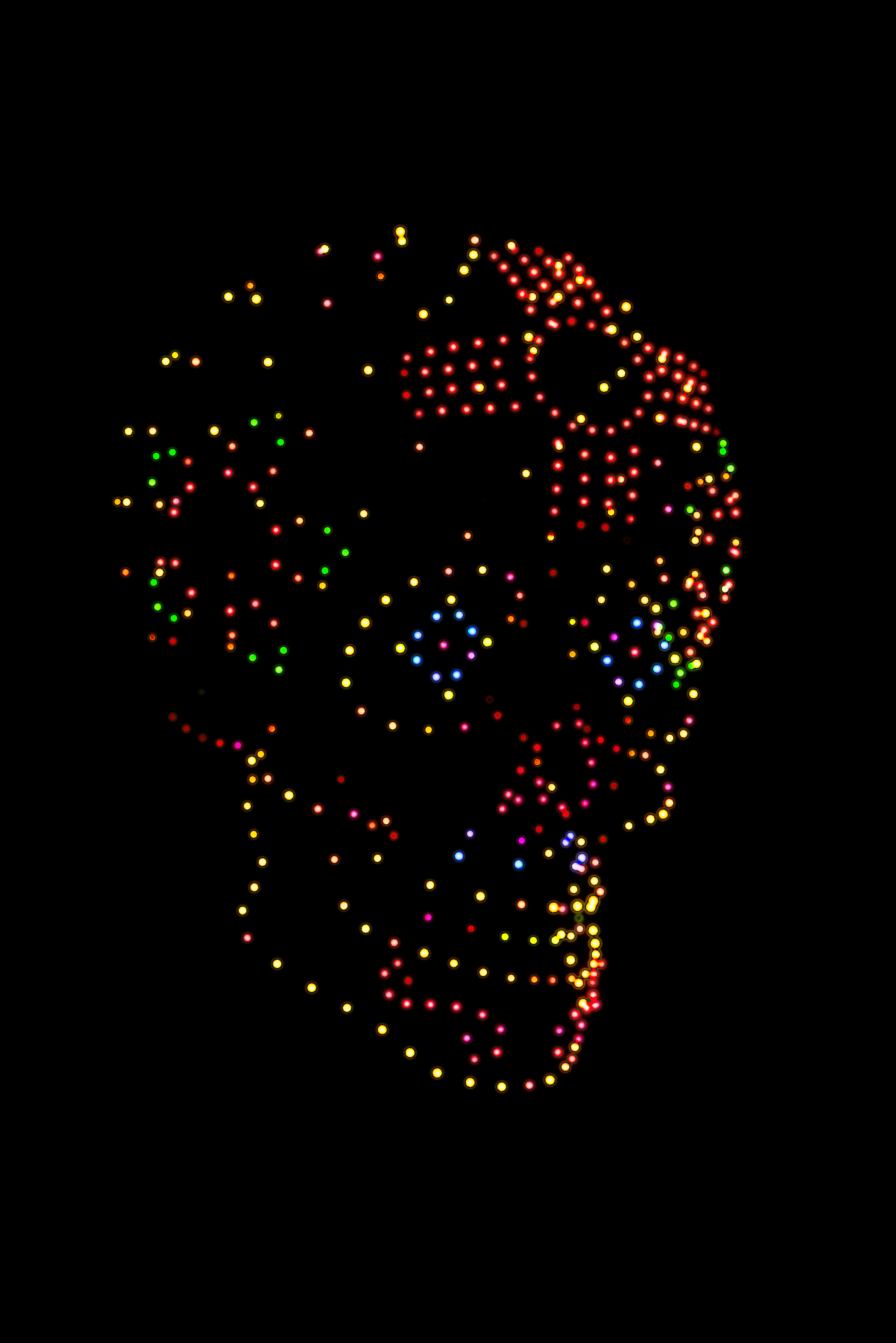 sugar skull drone show